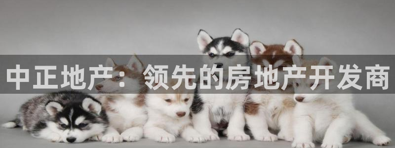 8876138永利出钱不成功