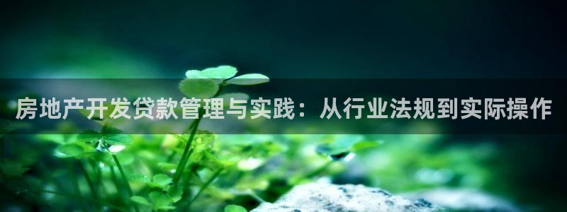 永利运动鞋是几几年出的